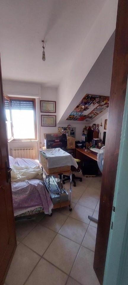 immagine annuncio 6 di 13