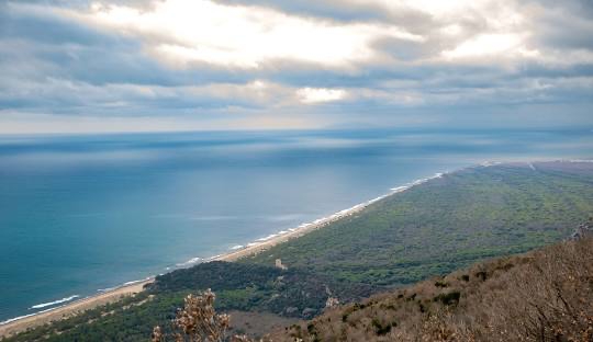 immagine annuncio 3 di 6