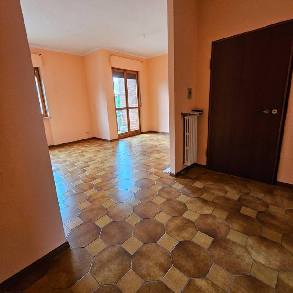 immagine annuncio 3 di 14