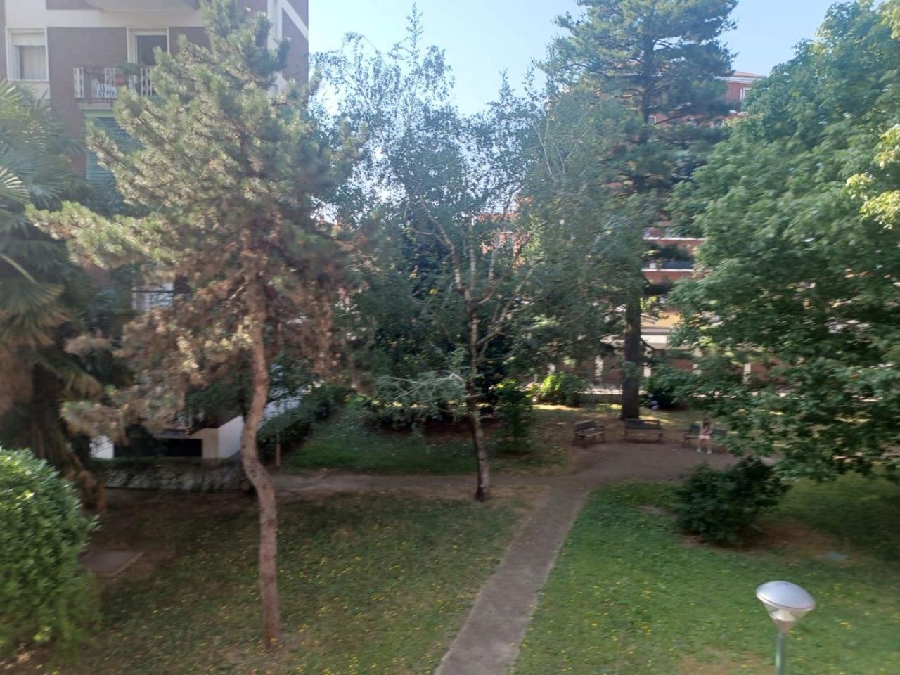 immagine annuncio 2 di 7