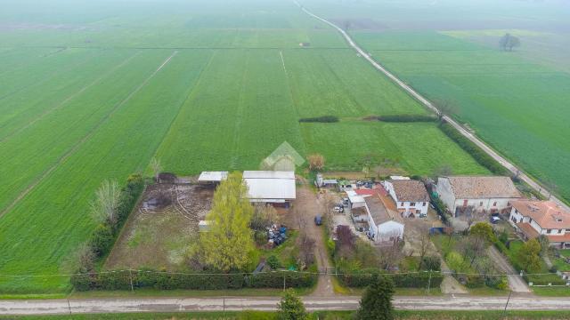 Detached house in Via B. Cellini 25, Castelnovo di Sotto - Photo 1