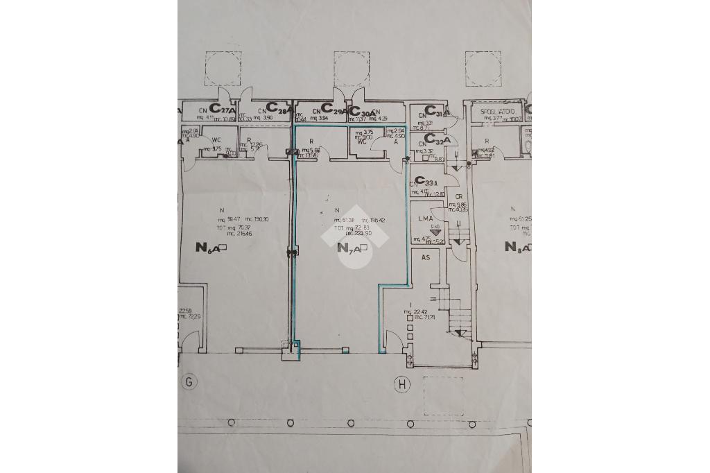 Negozio in Via G. Perlasca 14, Masera' Di Padova, {3} - Planimetria 1