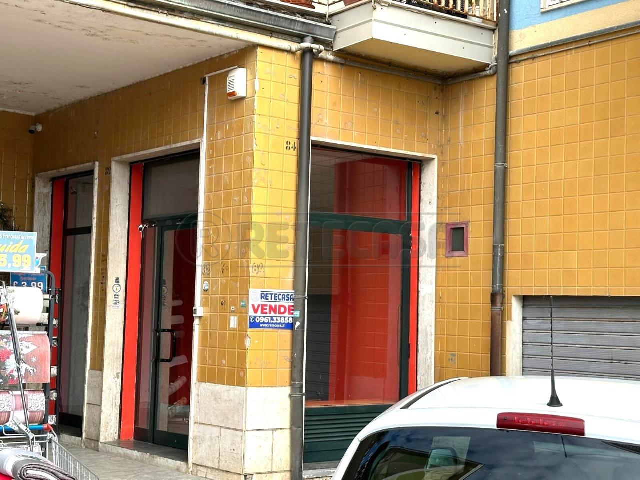 Cartoleria in Via Torrazzo, Catanzaro, {3} - Foto 1