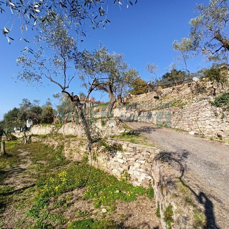 immagine annuncio 3 di 7