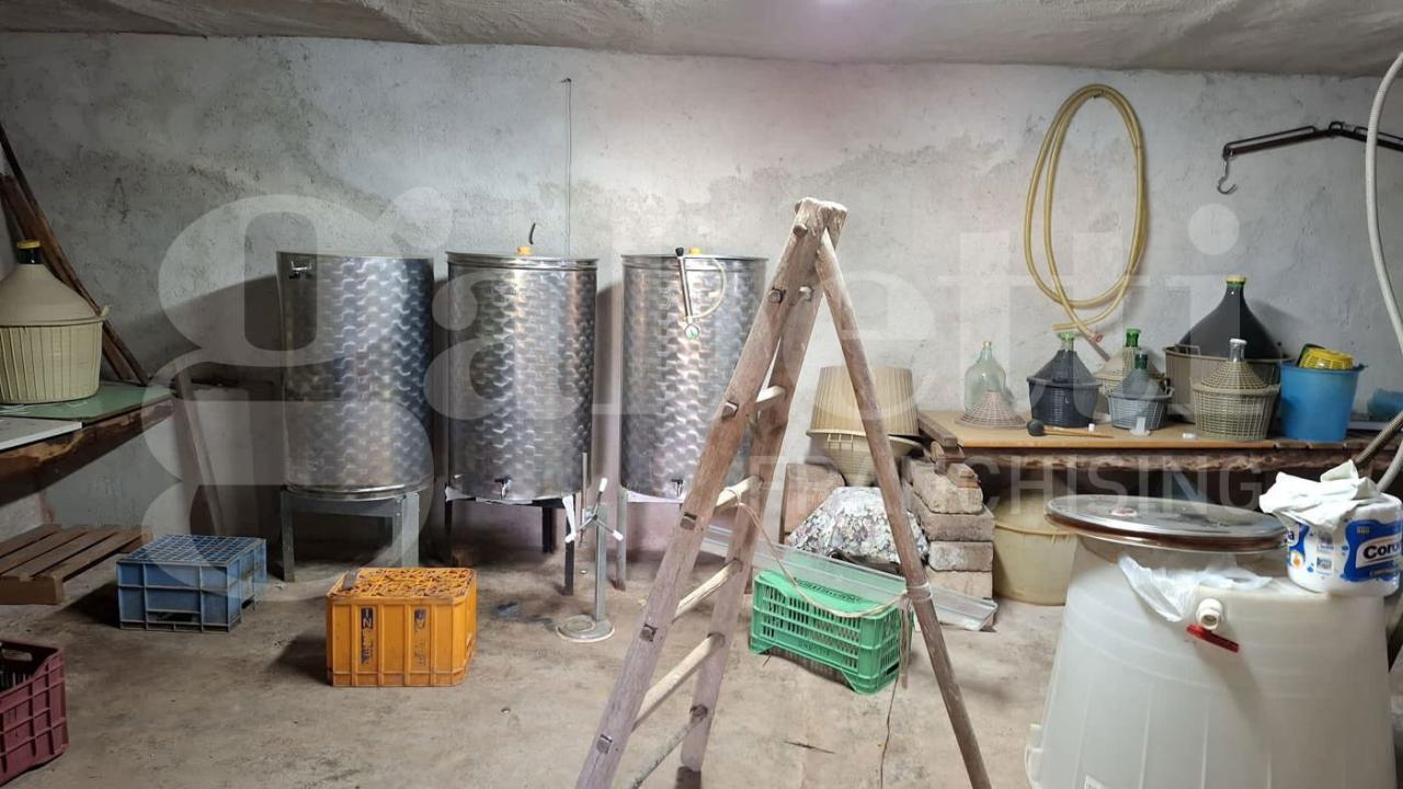 immagine annuncio 10 di 15