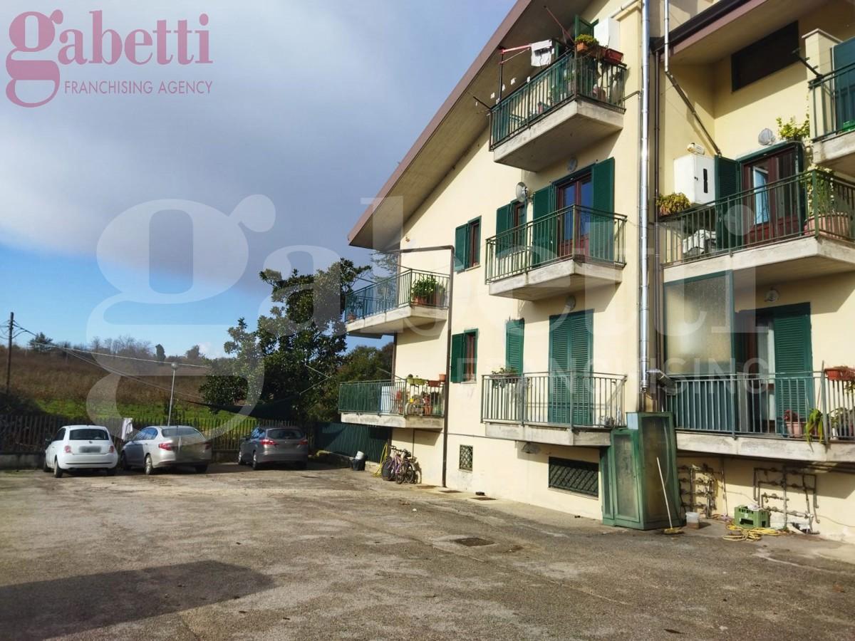 immagine annuncio 1 di 12