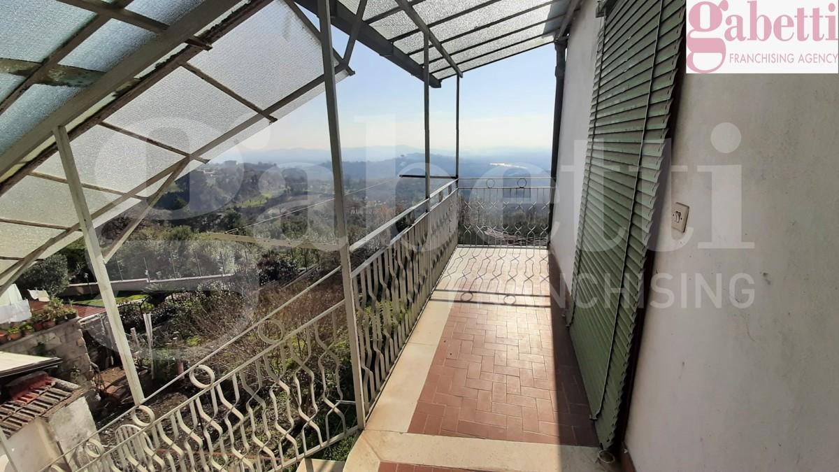 immagine annuncio 11 di 14