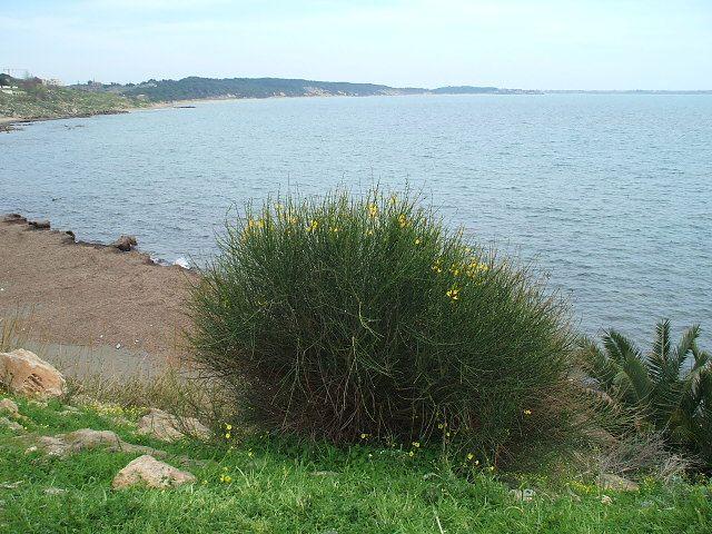 Dreizimmerwohnung in Le Castella Villaggio Tucano, Isola di Capo Rizzuto - Foto 1