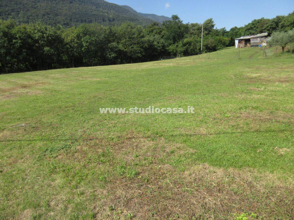 Terreno agricolo in vendita a Solto Collina