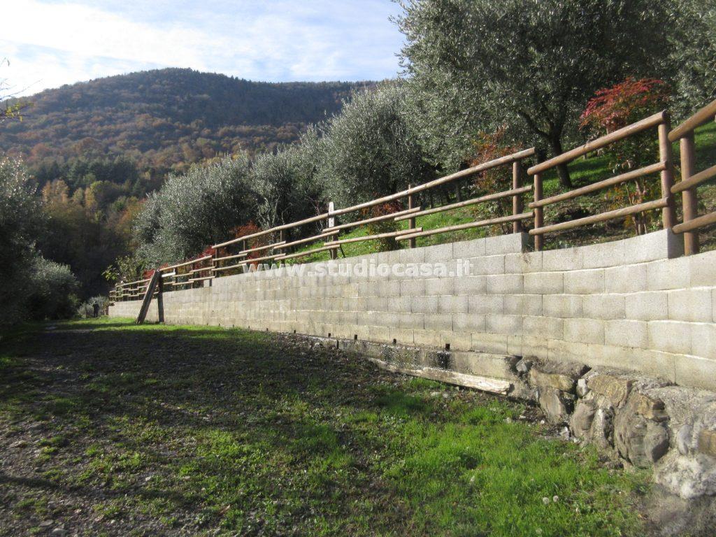 Terreno agricolo in vendita a Solto Collina