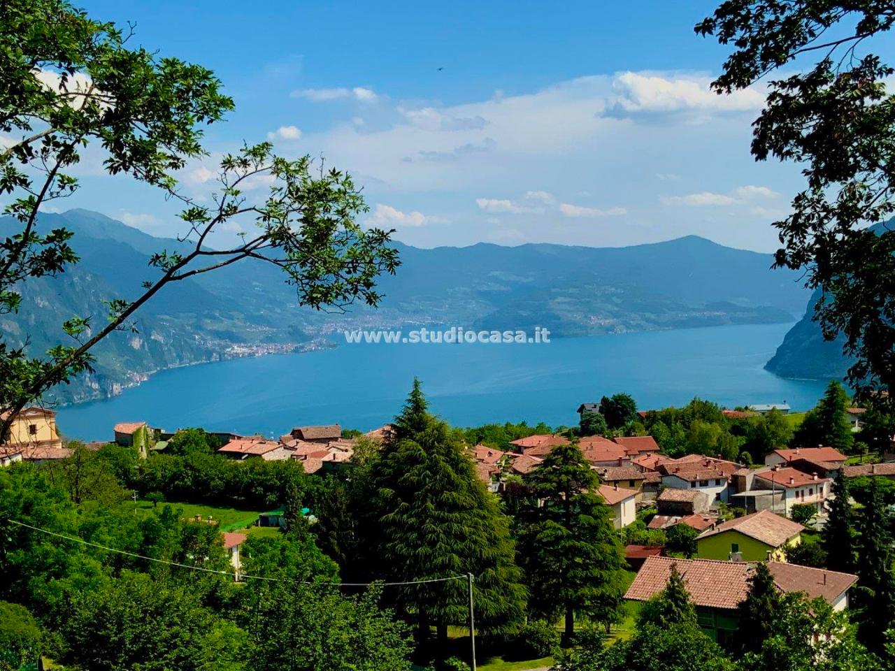 Terreno agricolo in vendita a Solto Collina