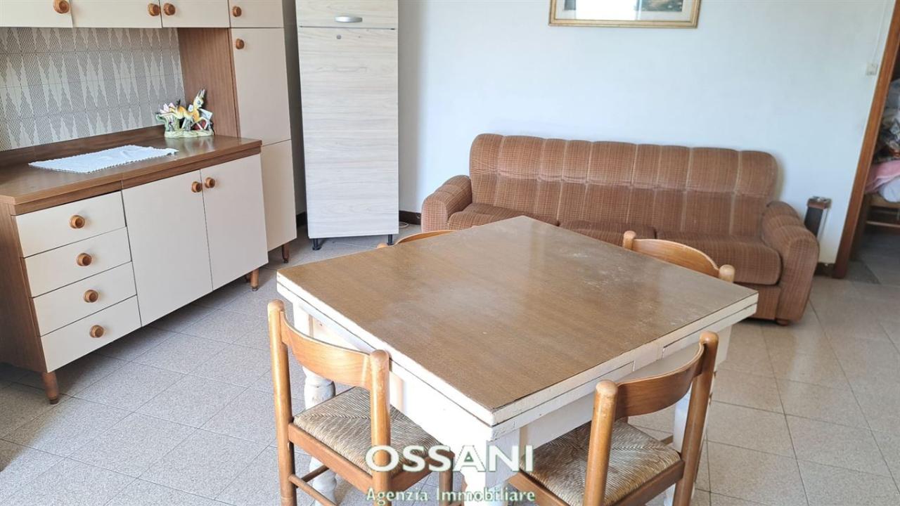 immagine annuncio 3 di 11