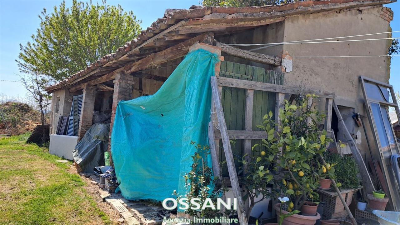 immagine annuncio 7 di 11