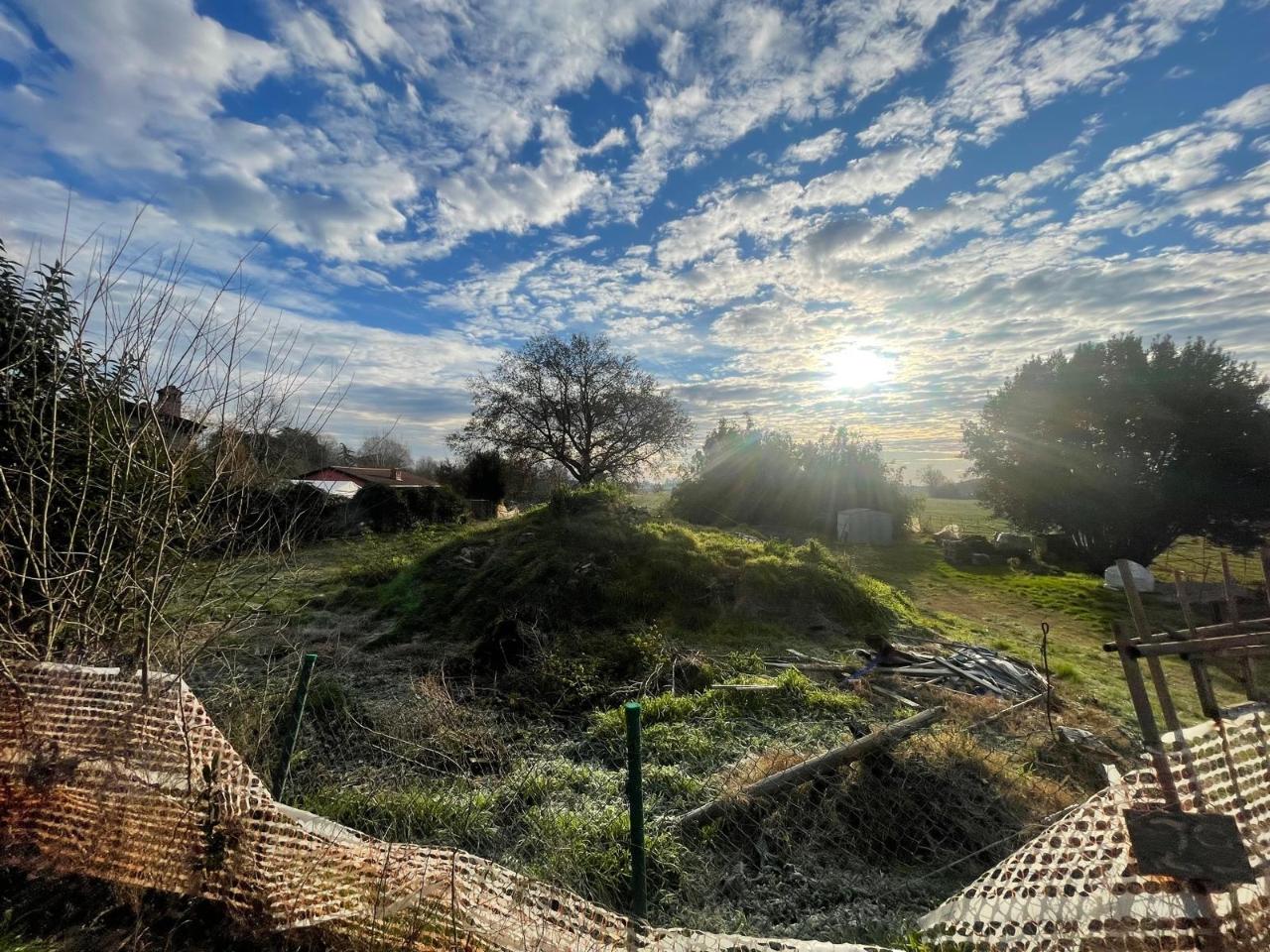 immagine annuncio 5 di 13