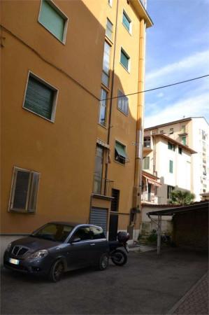 Negozio in , Arezzo, {3} - Foto 2