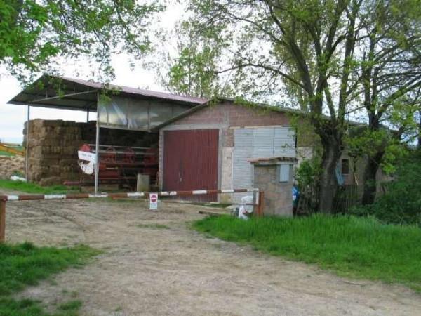 Azienda agricola in , Foiano Della Chiana, {3} - Foto 2