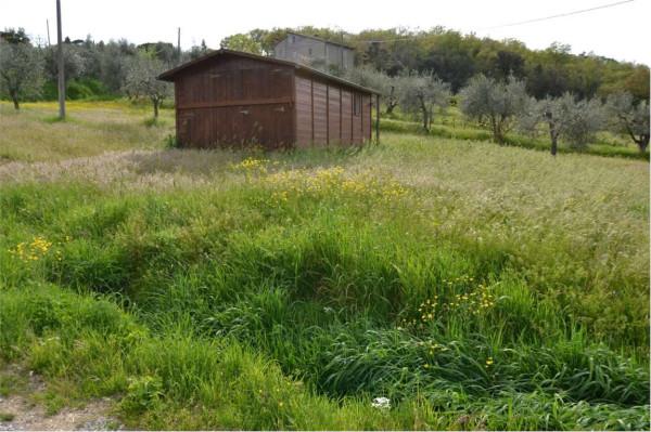 Podere - Tenuta in , Lucignano, {3} - Foto 1