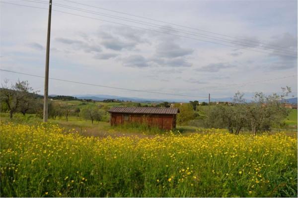 Podere - Tenuta in , Lucignano, {3} - Foto 2