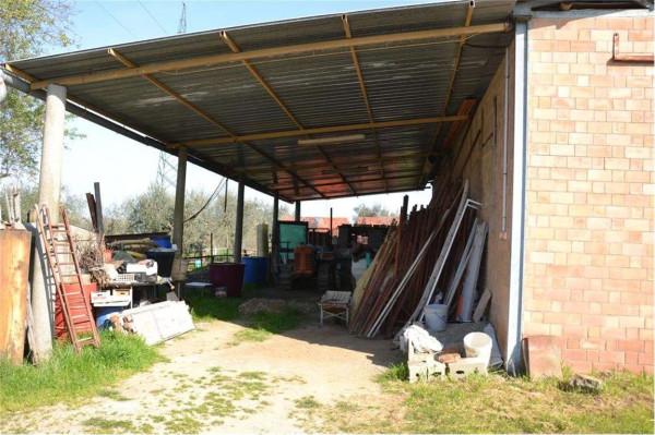 Azienda agricola in , Sinalunga, {3} - Foto 2