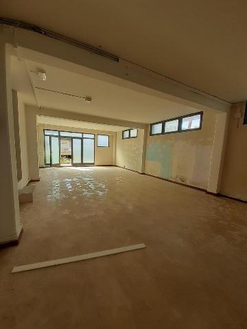 Business space, Carrara - Photo 1