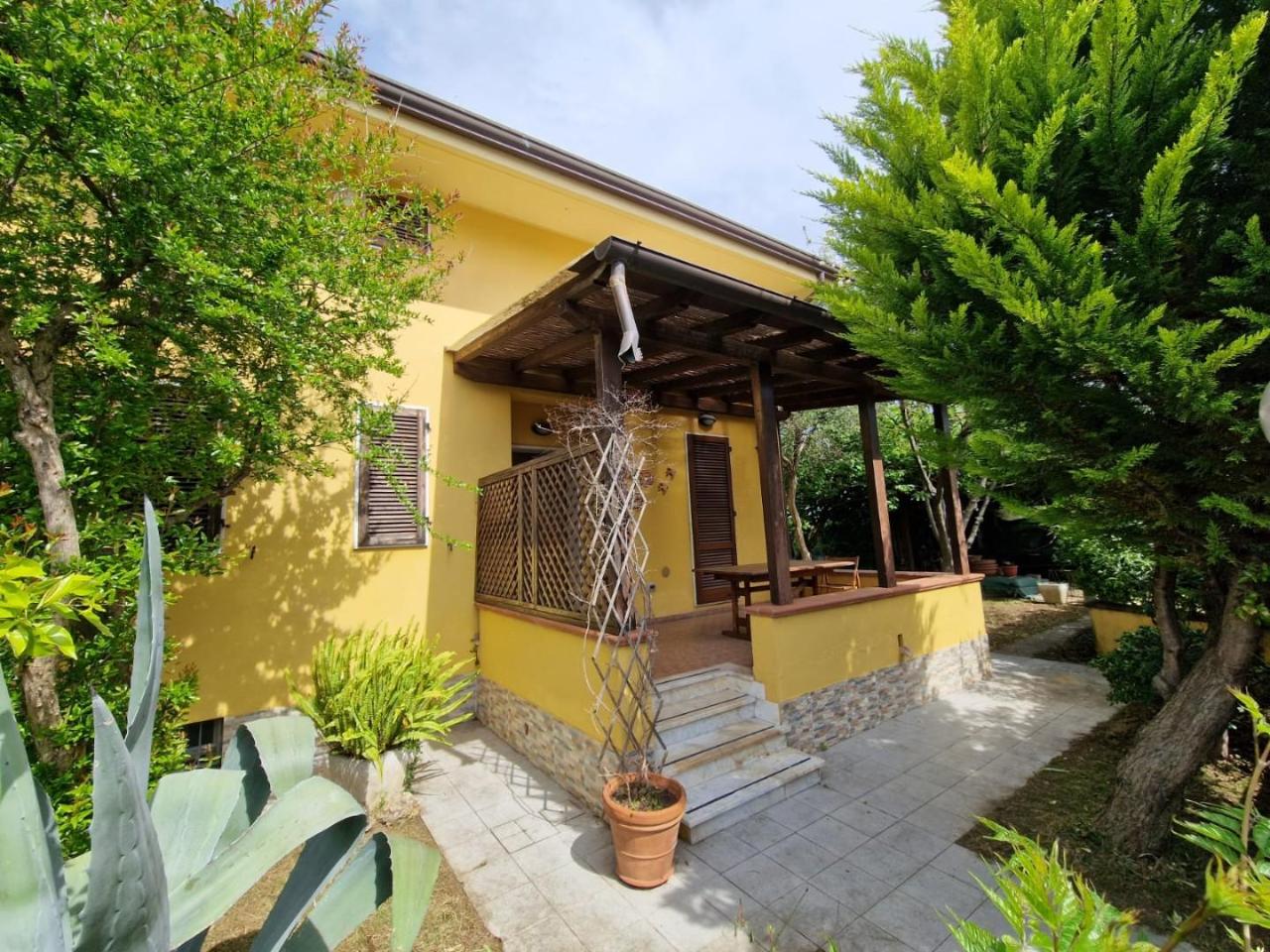 immagine annuncio 2 di 13