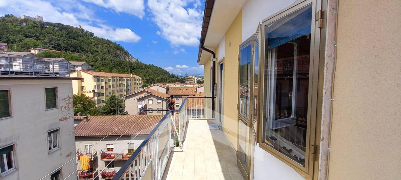 immagine annuncio 2 di 12