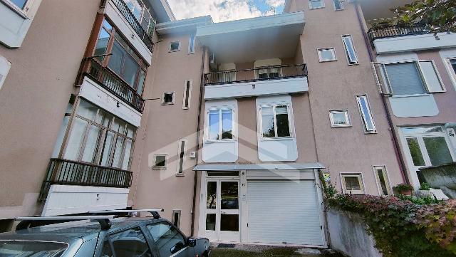 insertion image