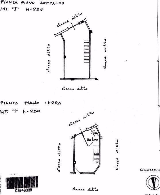 Negozio in Via Mazzini, Campobasso, {3} - Planimetria 1