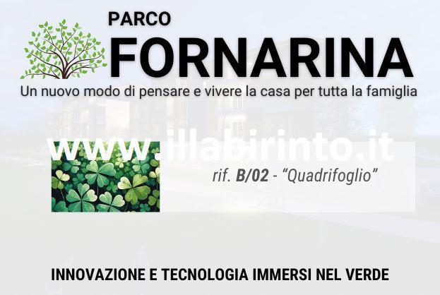immagine annuncio 2 di 7