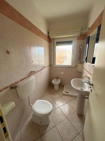 immagine annuncio 7 di 14