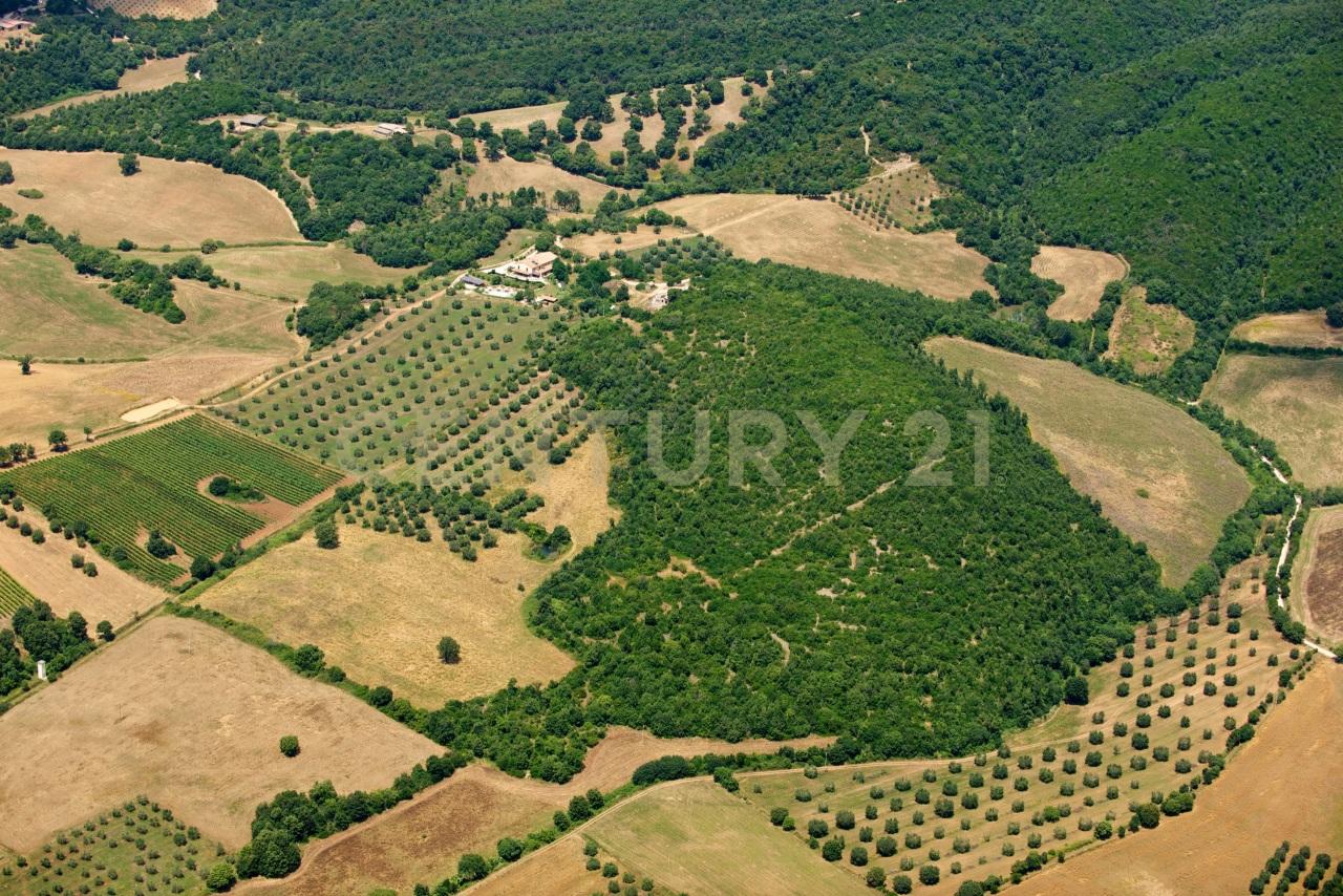 Azienda agricola in Campigliola, Manciano - Foto 1