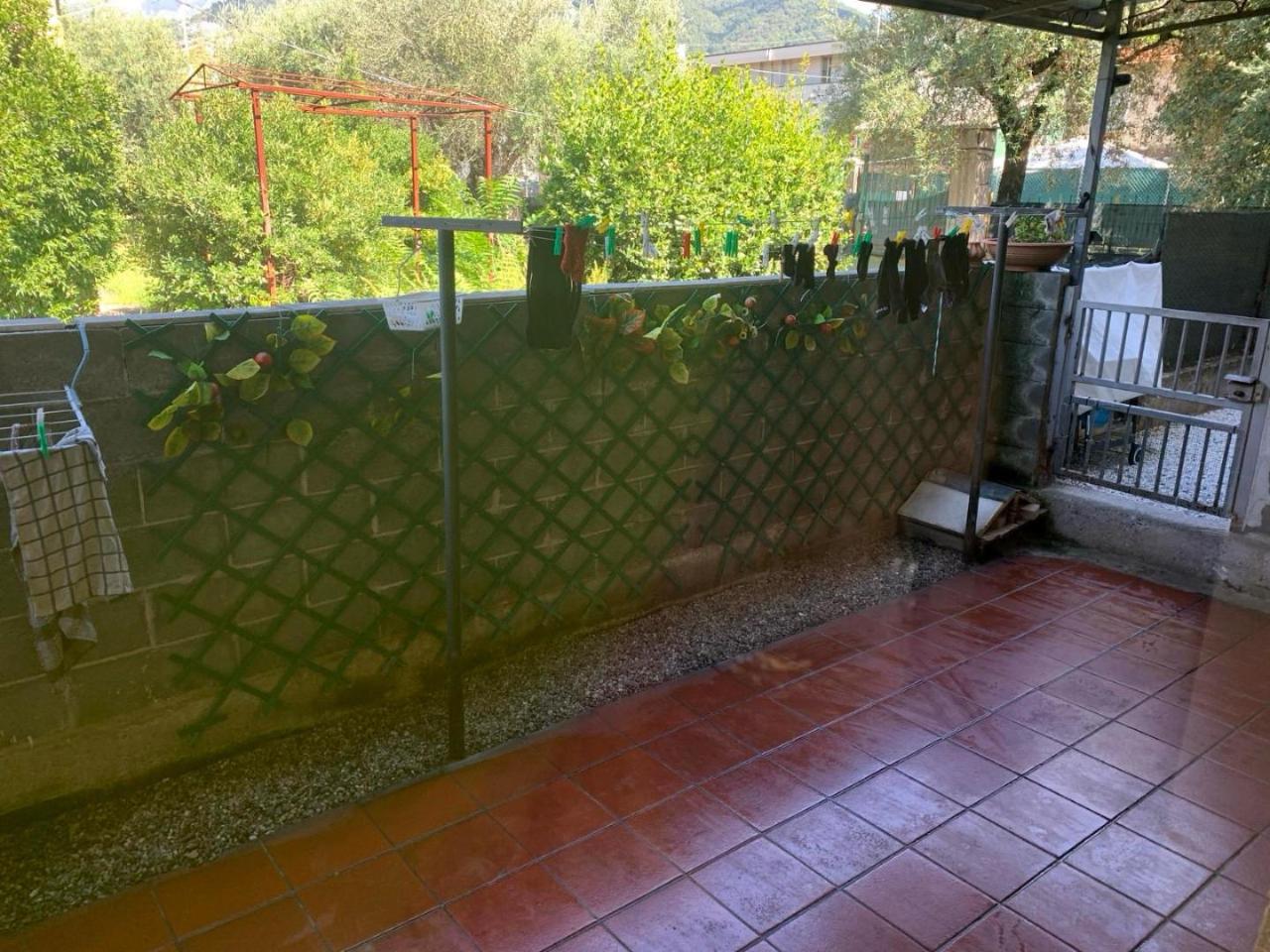 immagine annuncio 7 di 14