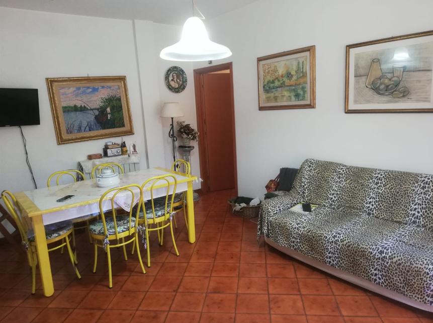 immagine annuncio 3 di 14