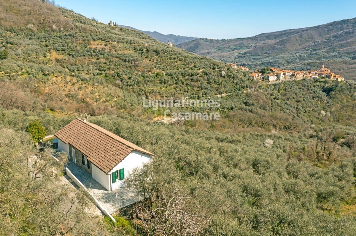 Villa in vendita a Aurigo
