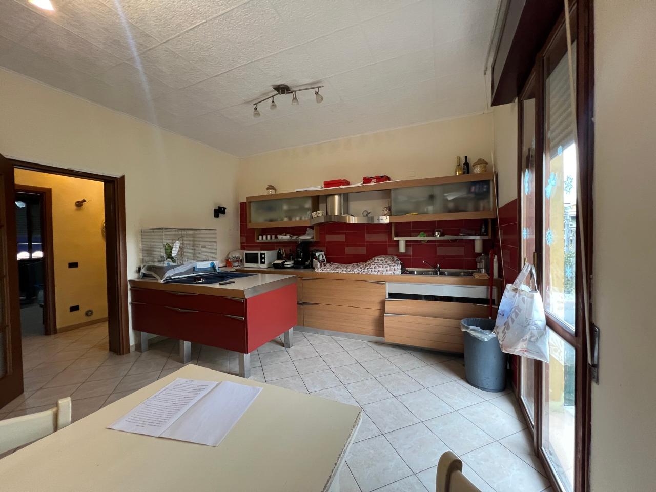 immagine annuncio 1 di 14