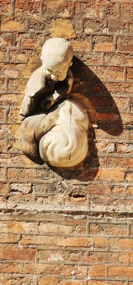 immagine annuncio 3 di 8