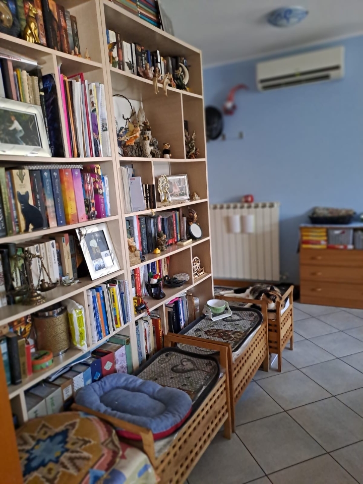 immagine annuncio 13 di 15