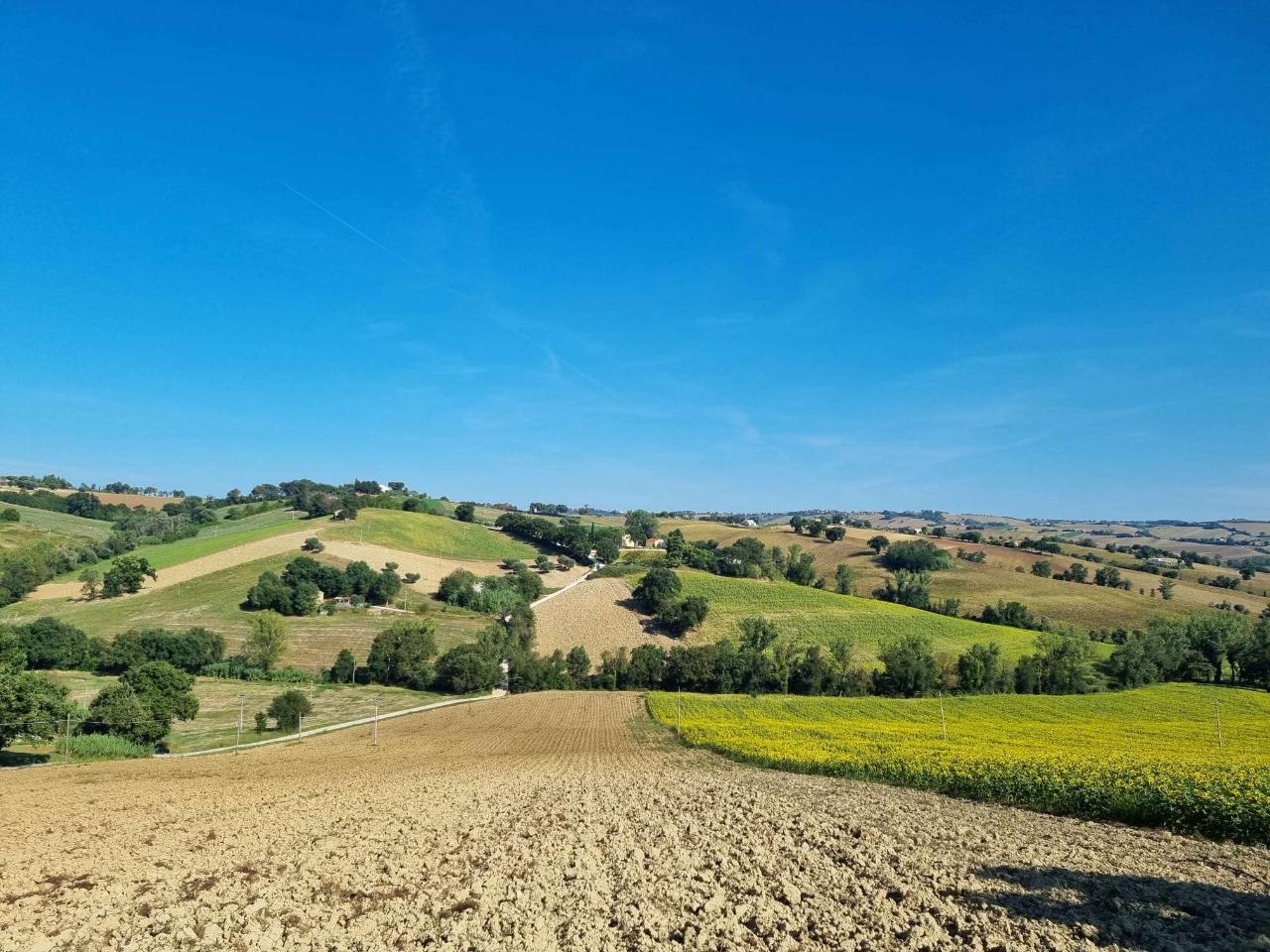 Casa indipendente in vendita a Filottrano