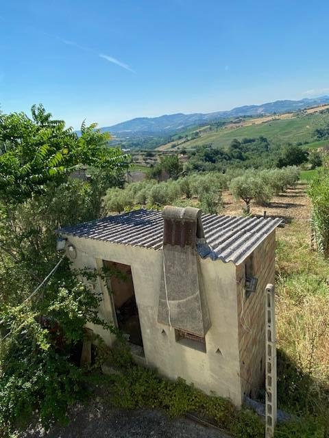 immagine annuncio 9 di 13