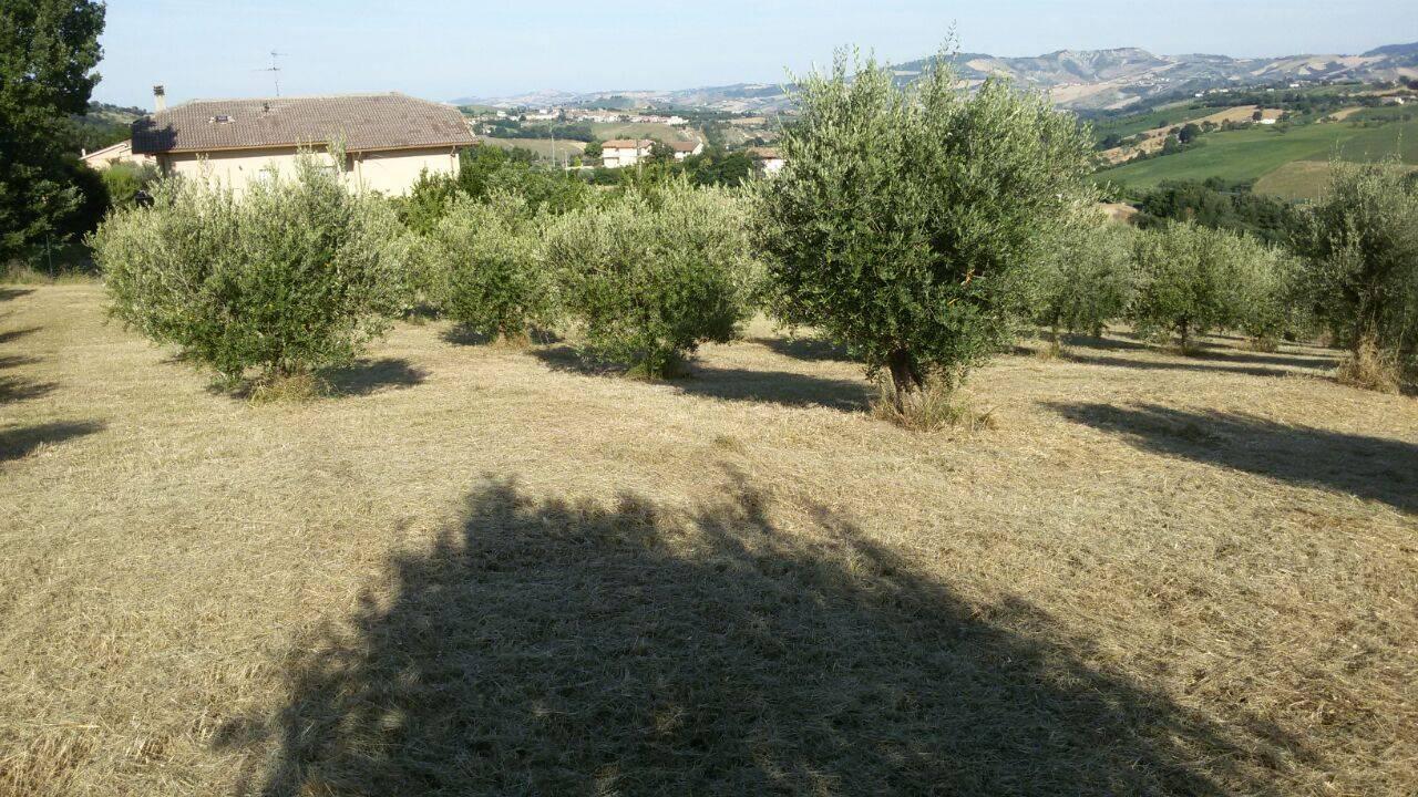 immagine annuncio 6 di 13