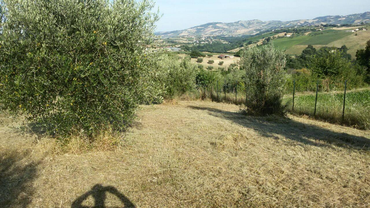 immagine annuncio 5 di 13