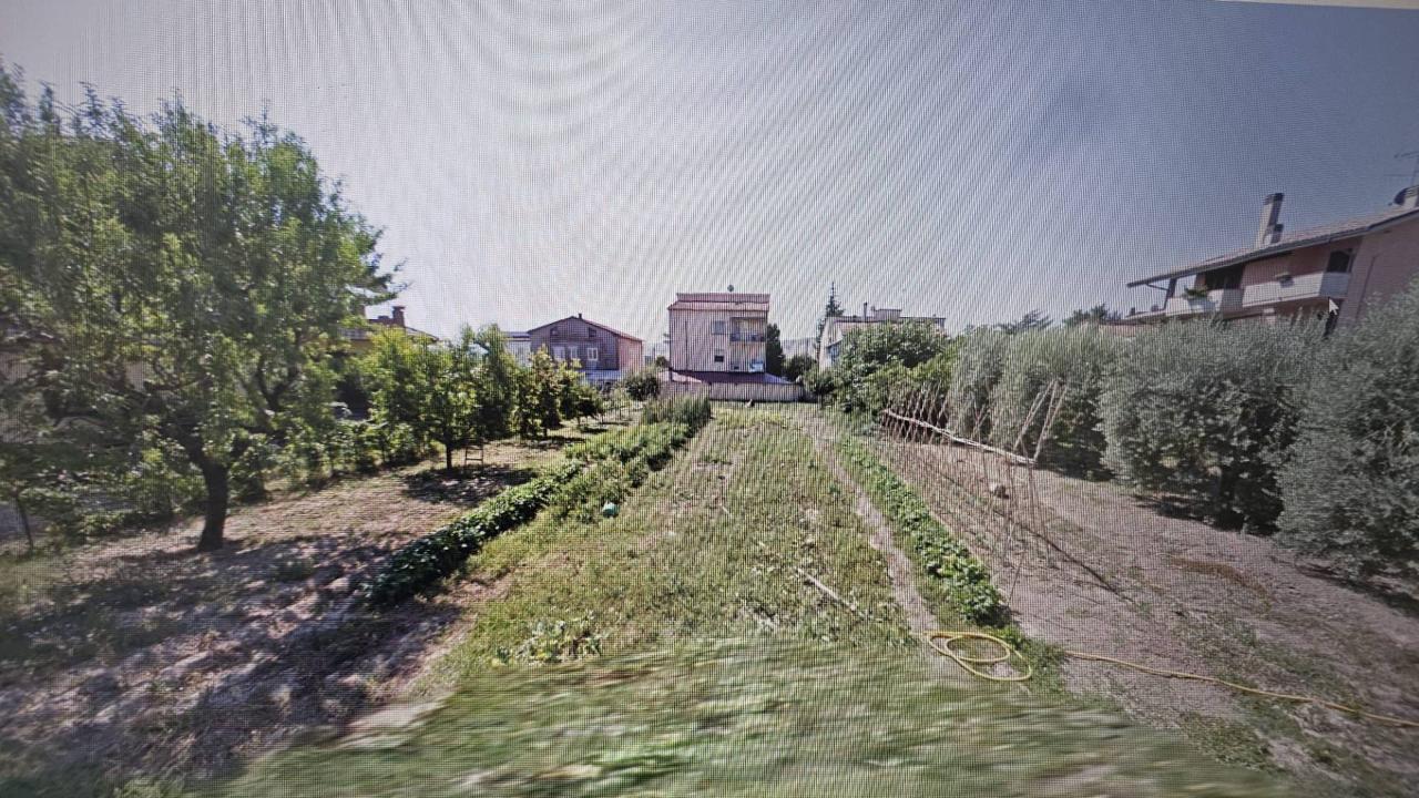 immagine annuncio 1 di 2