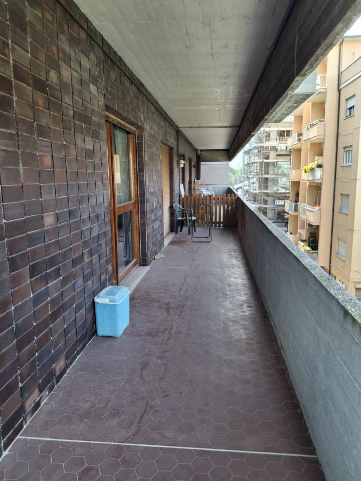 immagine annuncio 7 di 8