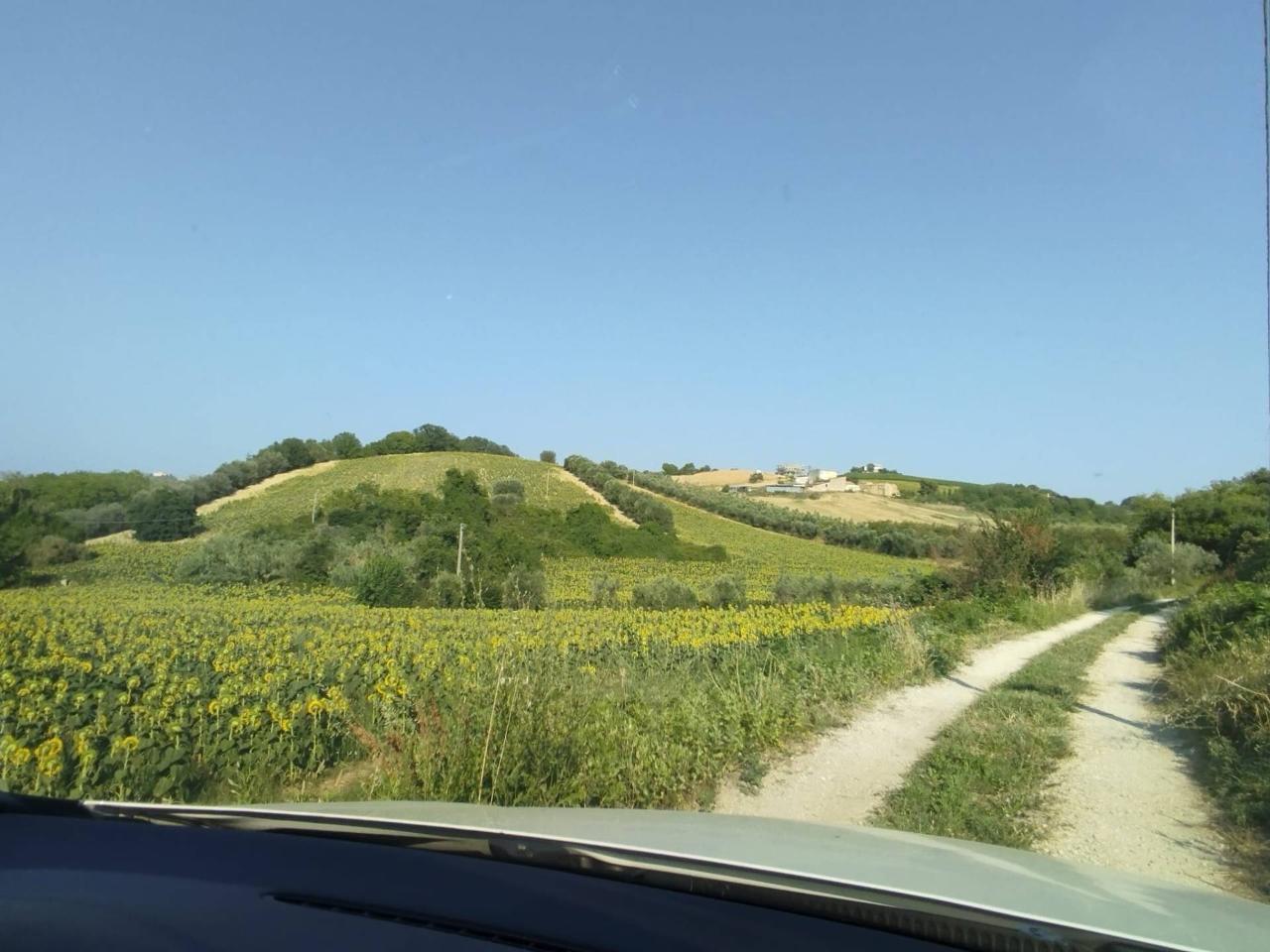 immagine annuncio 2 di 3