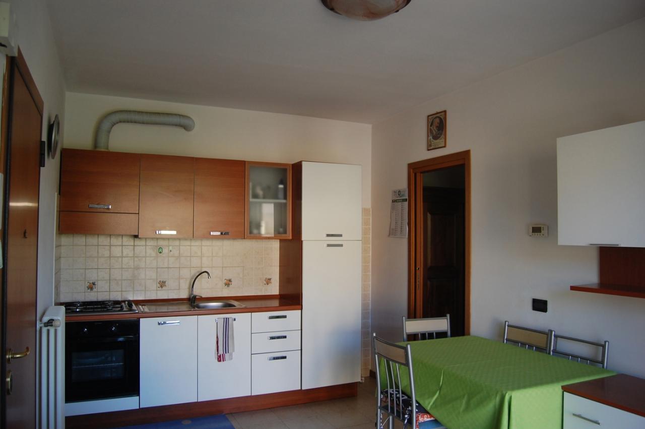 immagine annuncio 4 di 14