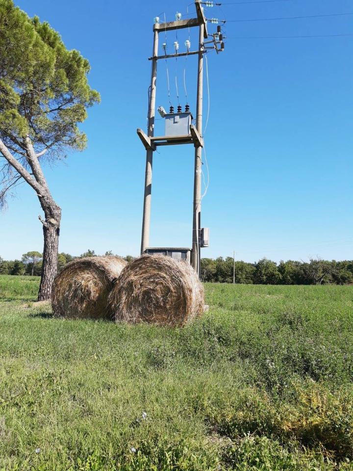 Azienda agricola in , Castiglione Del Lago, {3} - Foto 2