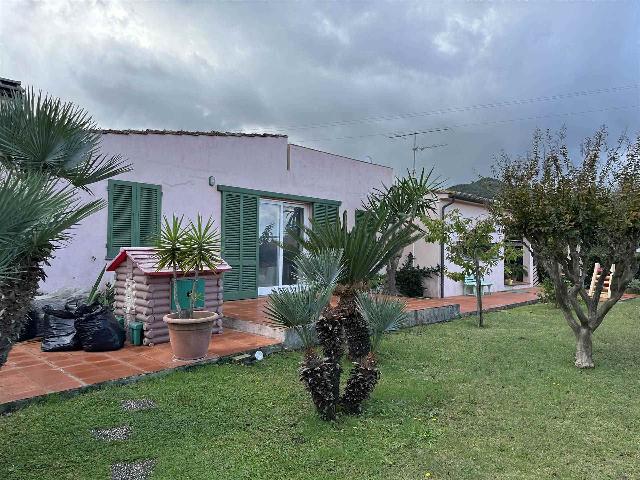insertion image