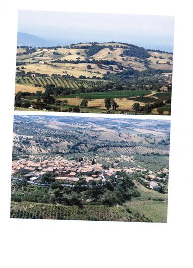 Azienda agricola in , Magliano In Toscana, {3} - Foto 2
