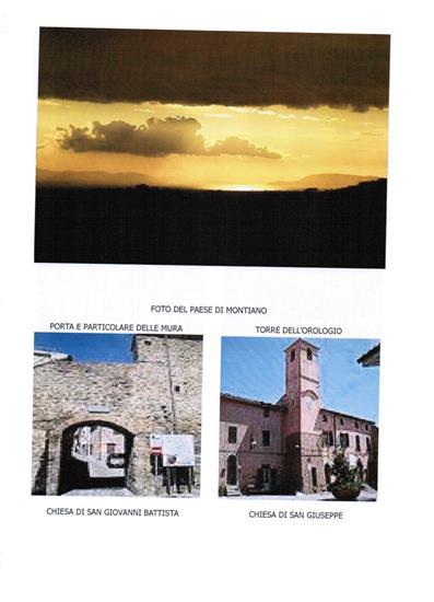 Azienda agricola in , Magliano In Toscana, {3} - Foto 1