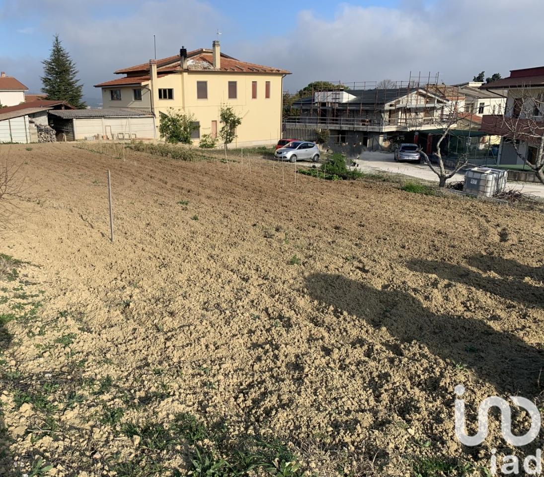 immagine annuncio 2 di 6